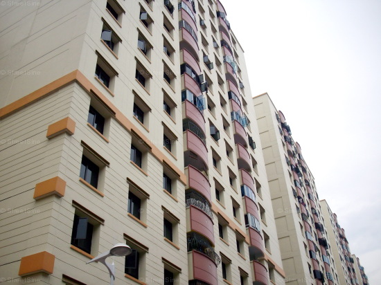 Jurong West Street 65 thumbnail photo